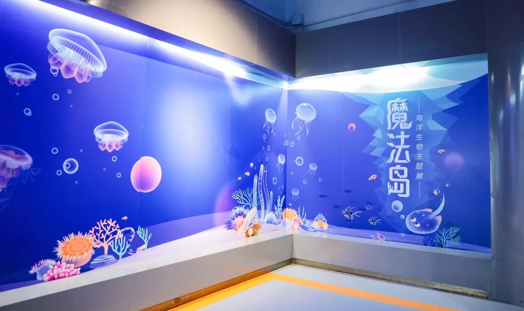 【宝安科技馆】海洋生物主题展览免费开放啦！快带娃来打卡体验吧