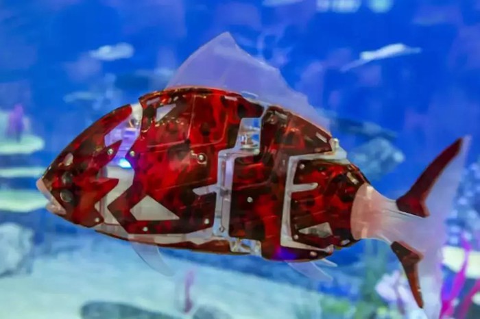 【宝安科技馆】海洋生物主题展览免费开放啦！快带娃来打卡体验吧