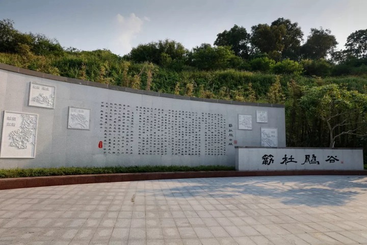 藏不住了！宝安这处近6百万平米的花海绝美盛放，你去了没？