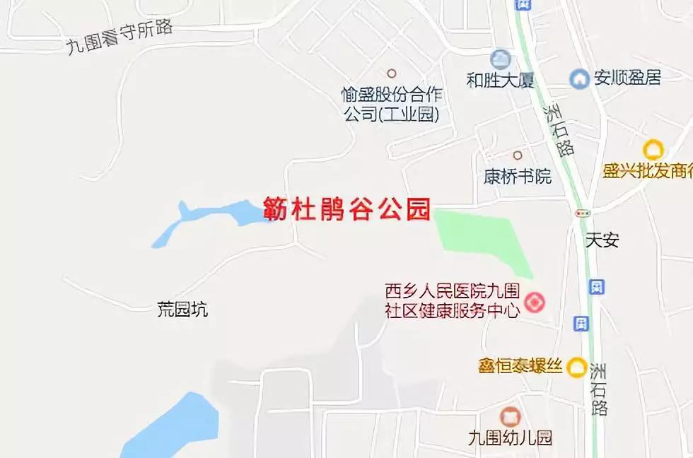 藏不住了！宝安这处近6百万平米的花海绝美盛放，你去了没？