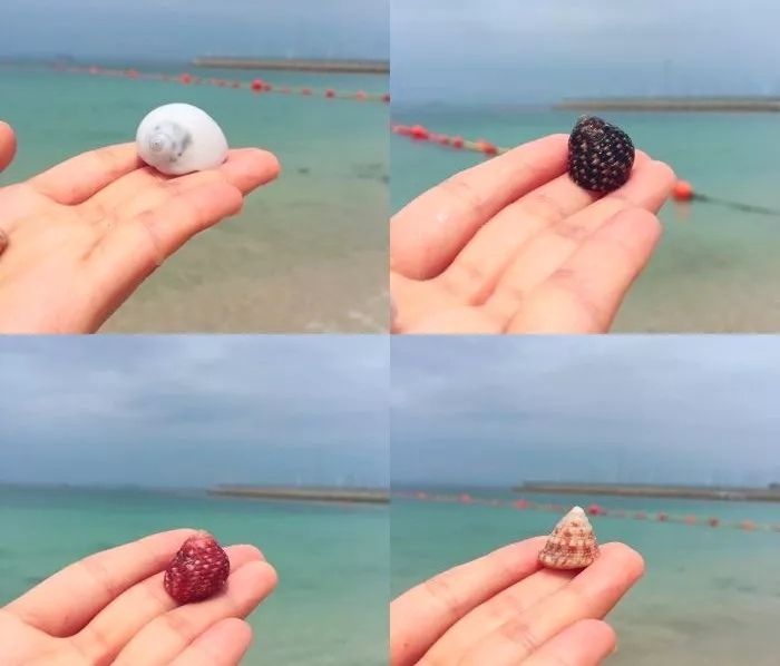 大梅沙今起闭园！不怕！深圳还有这些景美人少的海滩等你来浪~