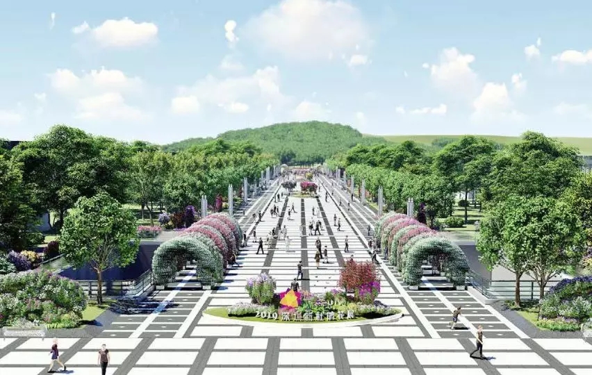 秋季最美花事来袭！2019深圳簕杜鹃花展邀你来赏