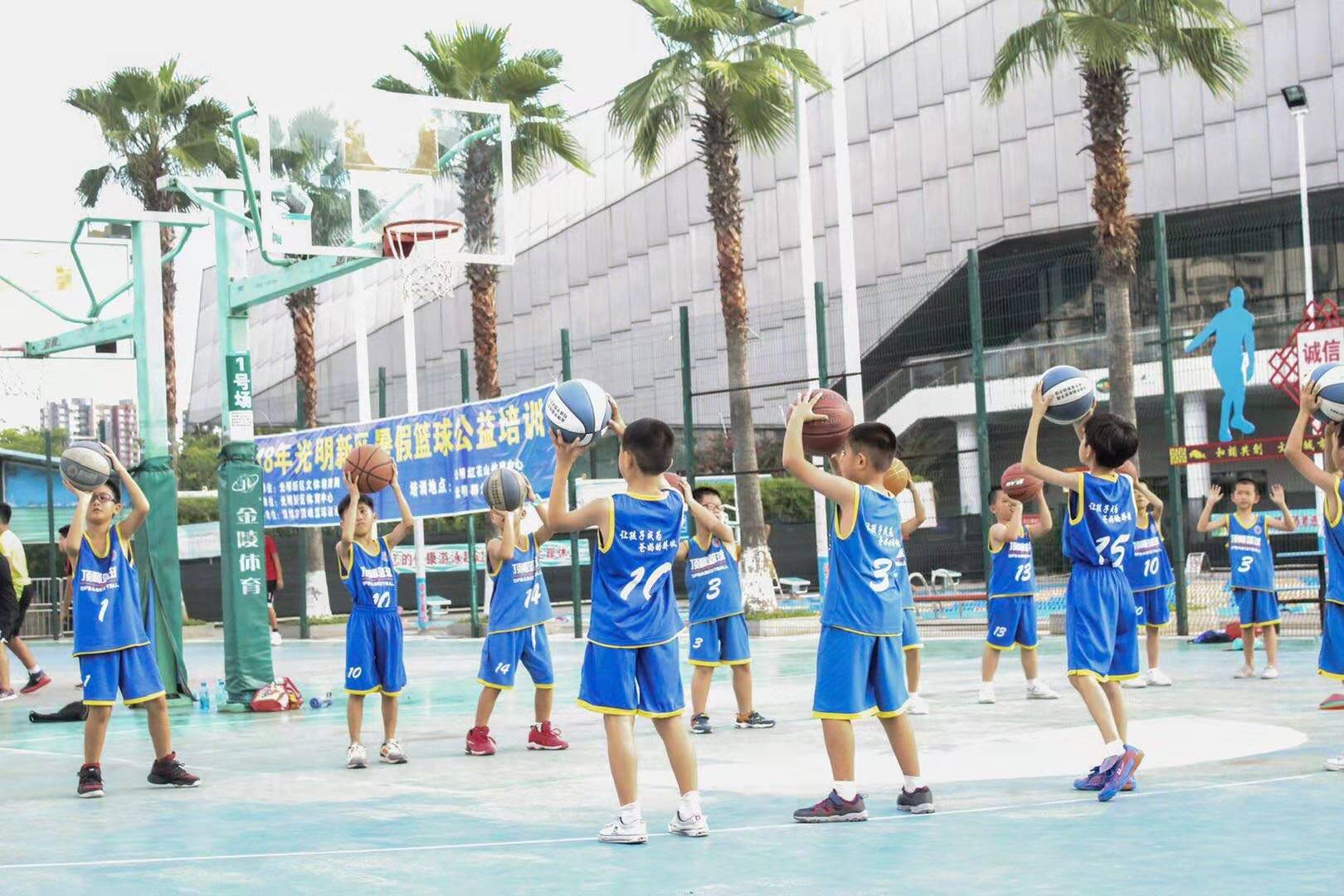 【篮球培训】2019光明区秋季青少年篮球公益培训免费报名啦