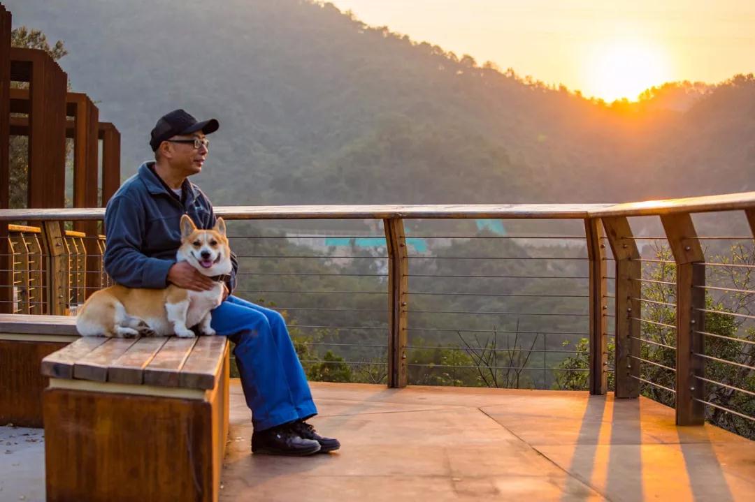 深圳“最美绿道”龙华区环城绿道羊台山段，快来打卡~