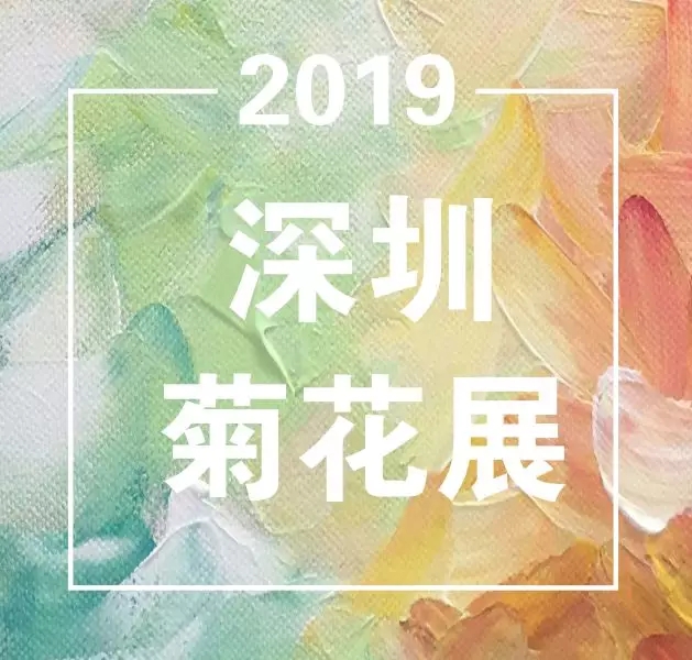 019深圳菊花展唯美开幕，11月26日-12月10日（共15天）！"