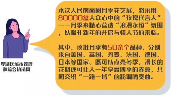 020深圳月季花展，8万盆鲜花、50余品种看个够！"