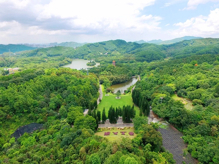 春节限流！想去仙湖植物园祈福赏花的，记得提前预约购票！