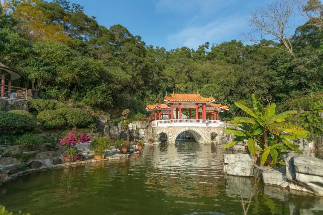 深圳仙湖植物园恢复开园，需提前线上购票，每天限额入园
