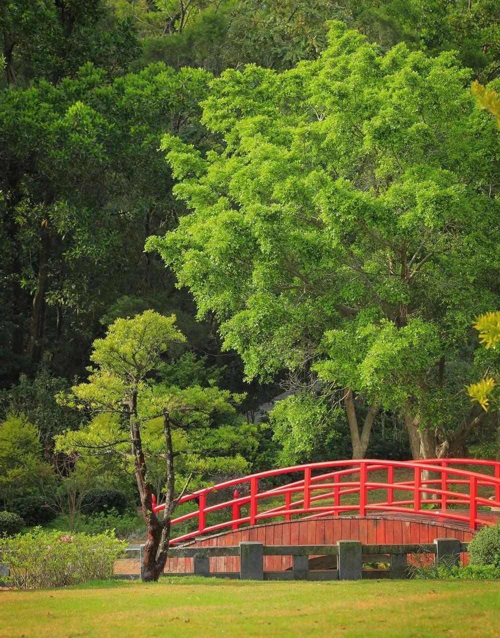 深圳仙湖植物园恢复开园，需提前线上购票，每天限额入园