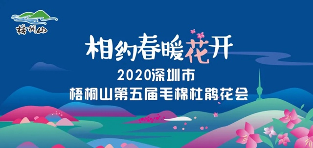 相约春暖花开，2020深圳市梧桐山第五届毛棉杜鹃花会邀你来赏