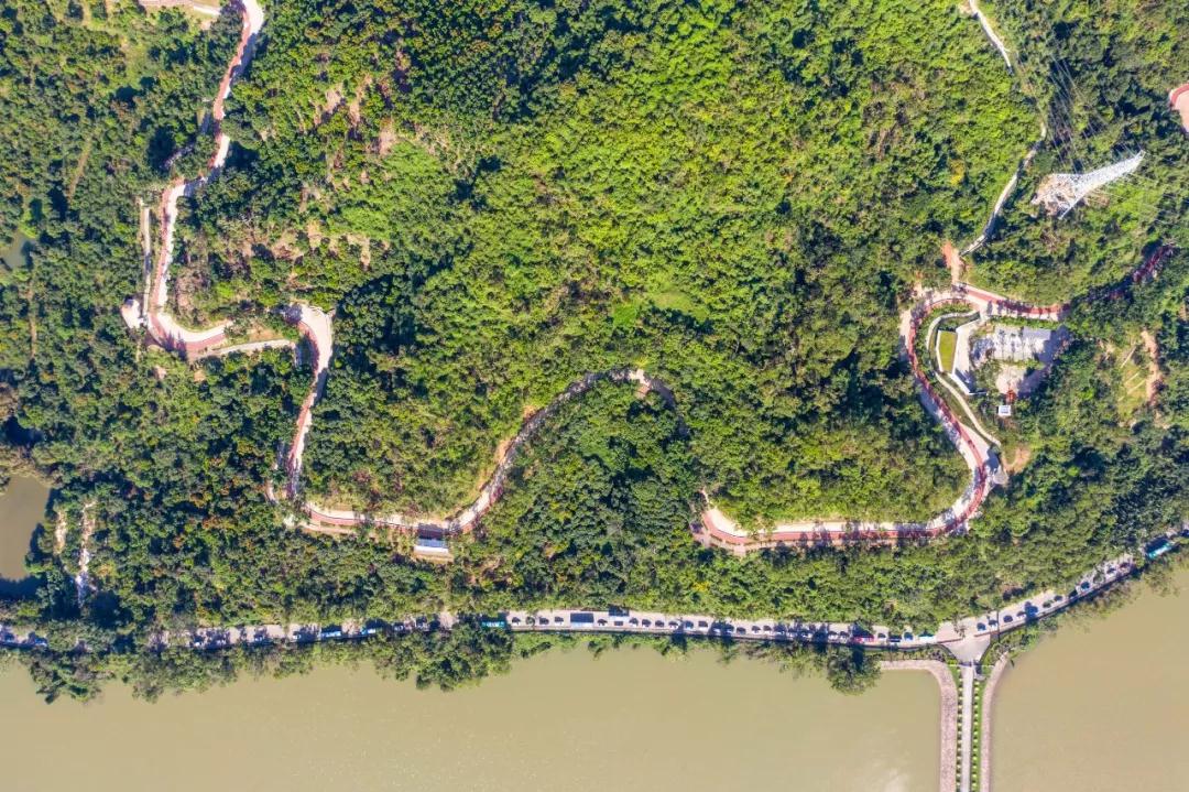 “淘金山绿道”背靠山麓，俯瞰深圳水库，还有绝美的驿站+智能出行~