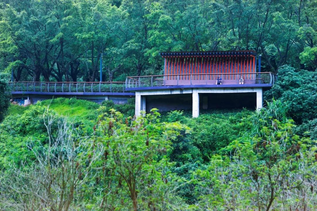 “淘金山绿道”背靠山麓，俯瞰深圳水库，还有绝美的驿站+智能出行~