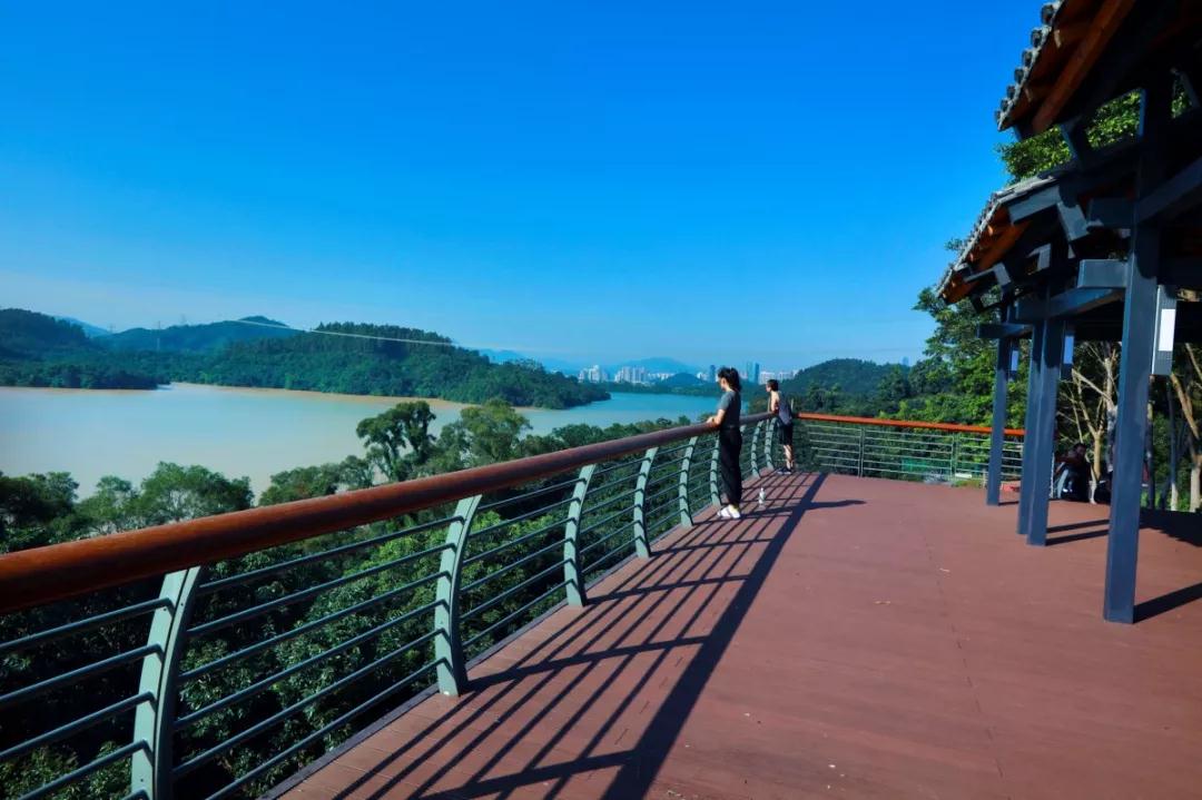 “淘金山绿道”背靠山麓，俯瞰深圳水库，还有绝美的驿站+智能出行~