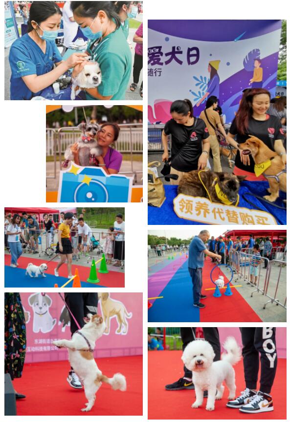 【深圳爱犬日】本周五来罗湖这里玩，大奖等你拿！