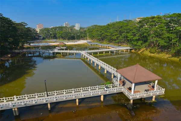 龙华这一公园全新升级,正式对市民开放啦! | 深圳