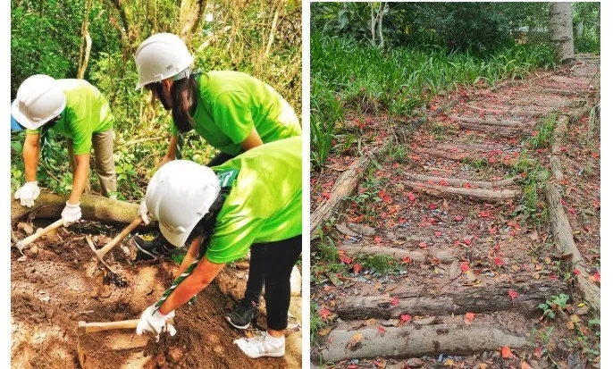 【活动报名】市民中心花田手作步道，邀你一起用双手建造自然之路！