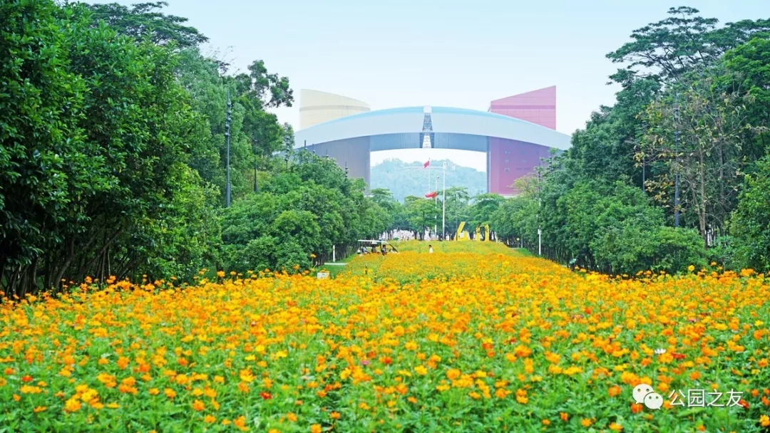 【活动报名】市民中心花田手作步道，邀你一起用双手建造自然之路！