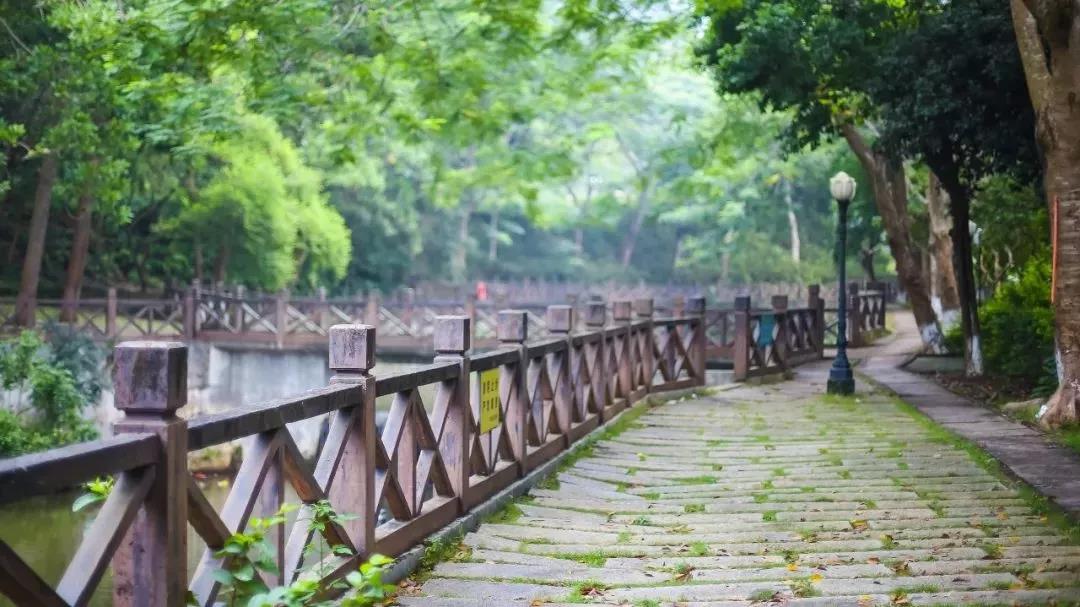 龙岗暑期游玩攻略，承包你的夏天！