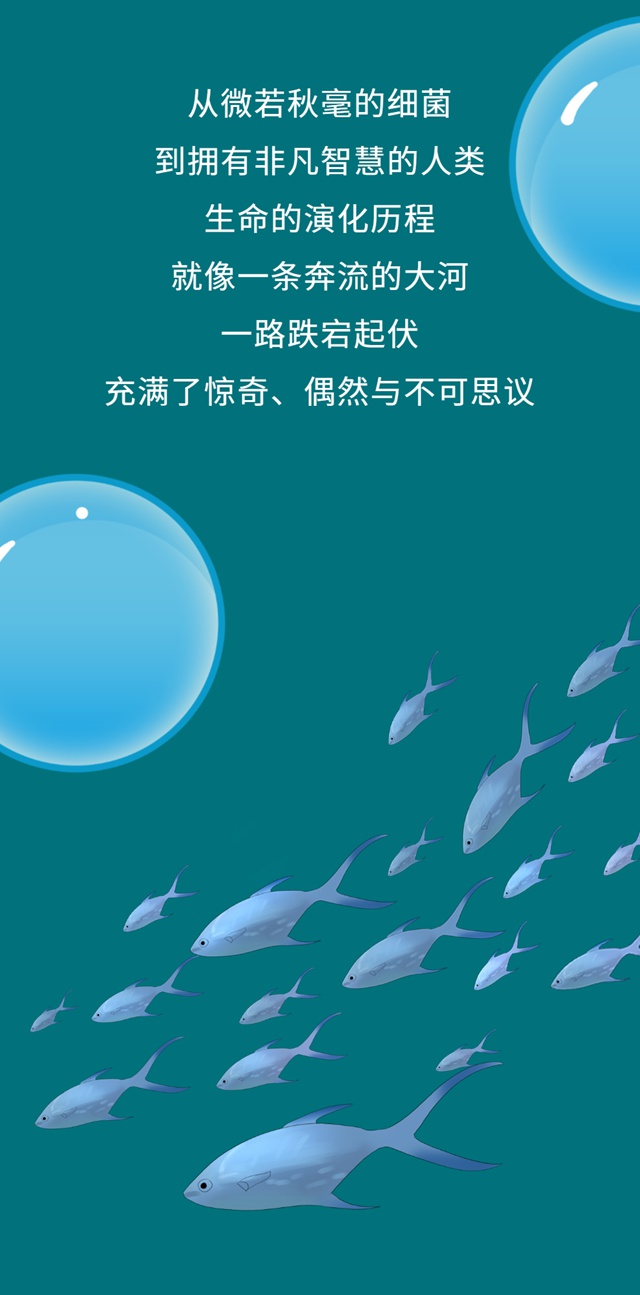 【深圳博物馆】征程——从鱼到人的生命之旅