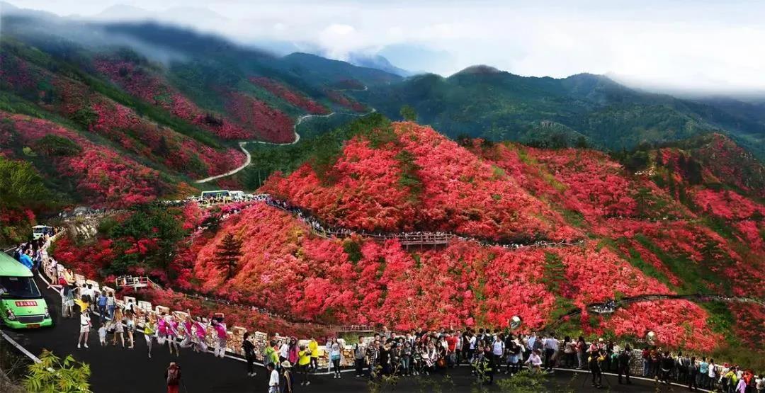 湖北A级旅游景区，向全国游客免门票开放！附最全景区名单！