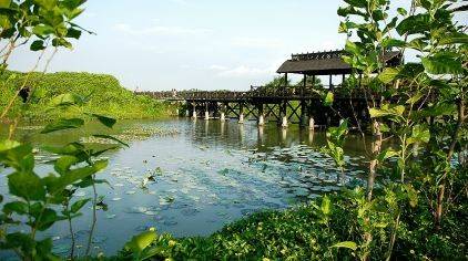 已售罄~~~【宝安·海上田园】双十二特惠！29.9元抢国家4A级景区海上田园单人票！四十多个景点等你来玩~