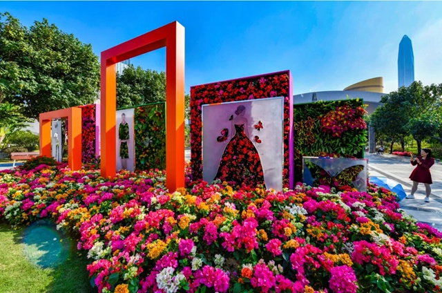 又是一年花正浓，2020深圳簕杜鹃花展为您绽放！
