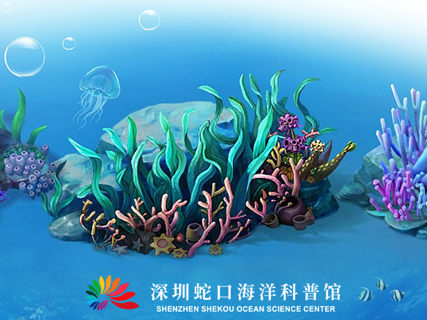 【免費(fèi)入館】超多新花樣！來蛇口海洋科普館一起探索海洋的秘密！