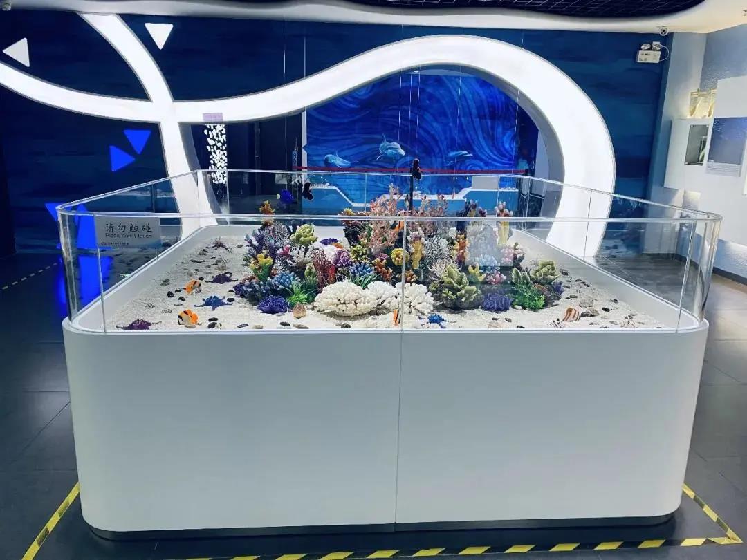【免費(fèi)入館】超多新花樣！來蛇口海洋科普館一起探索海洋的秘密！