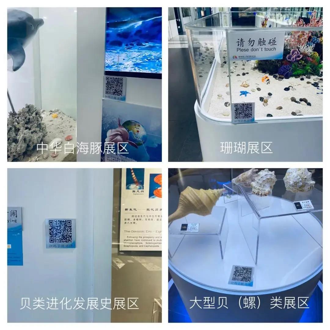 【免費(fèi)入館】超多新花樣！來蛇口海洋科普館一起探索海洋的秘密！