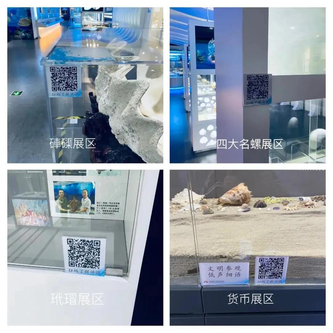 【免費(fèi)入館】超多新花樣！來蛇口海洋科普館一起探索海洋的秘密！