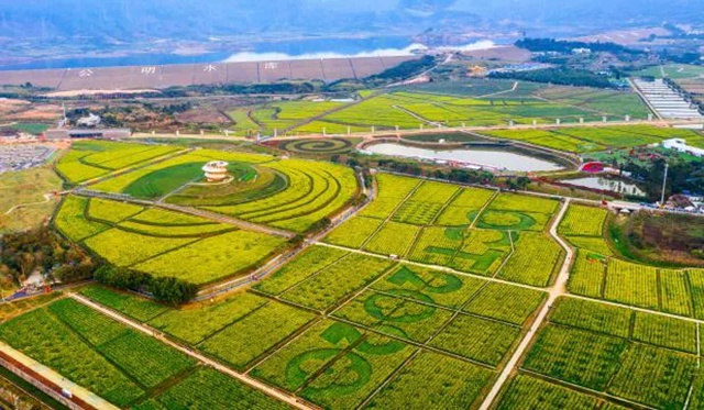 光明区旅游手绘地图发布啦！一图带你乐游光明！