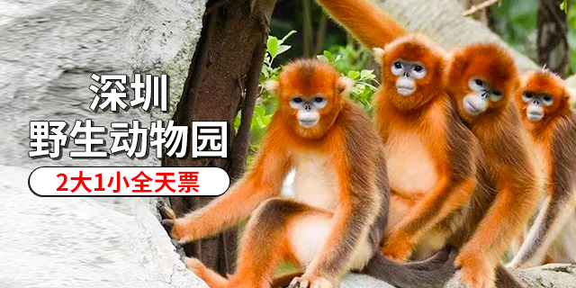 【深圳·门票】315元抢价值620元深圳野生动物园2大1小全天票（3.20-3.24）