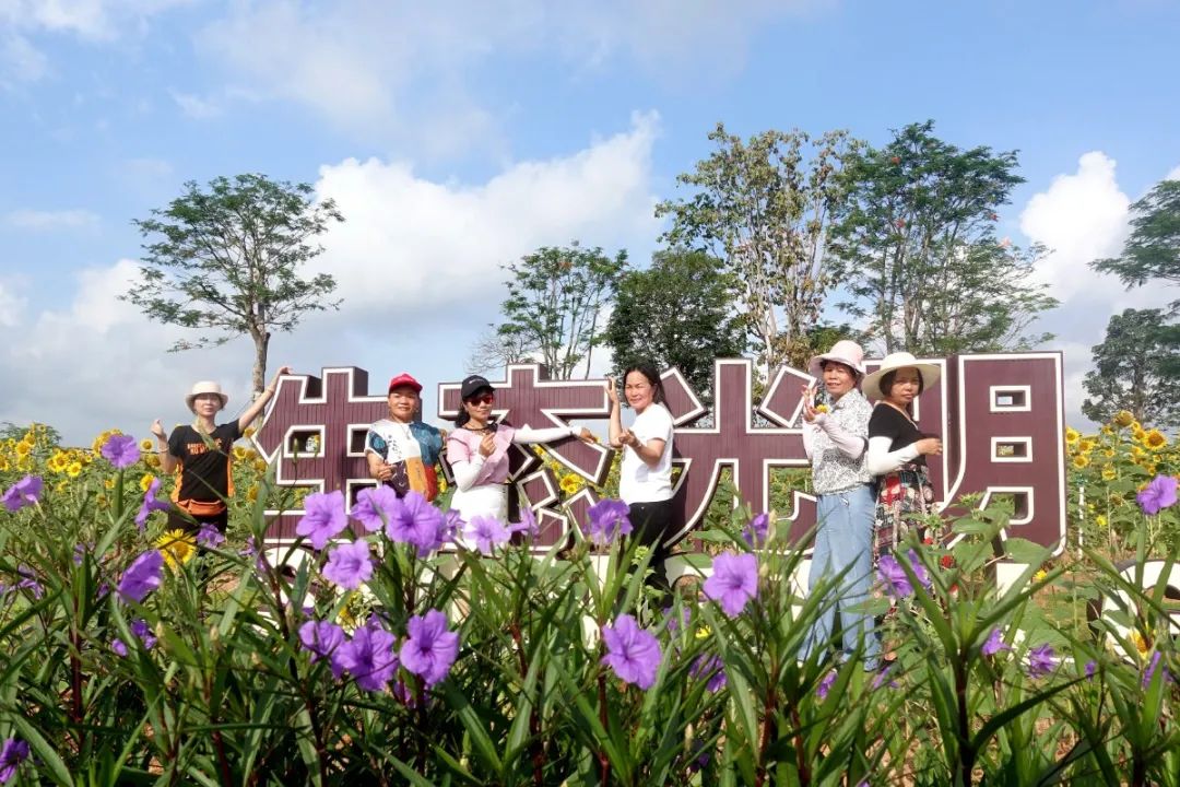 水边漫步，踏花而行！光明区楼村湿地公园再度开园，等你来打卡！