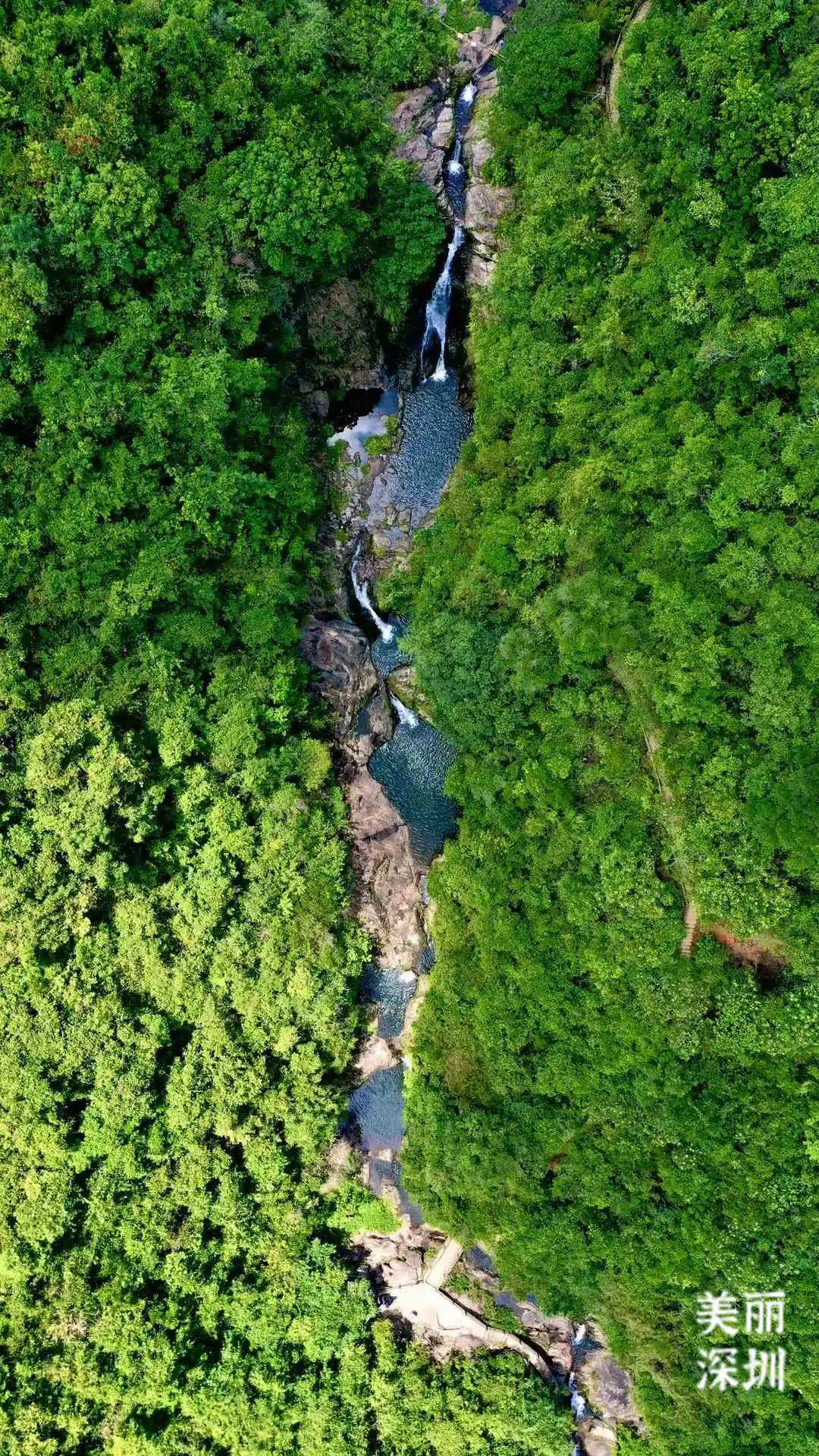 深圳马峦山郊野公园攻略,深圳马峦山郊野公园门票/游玩攻略/地址/图片/门票价格【携程攻略】