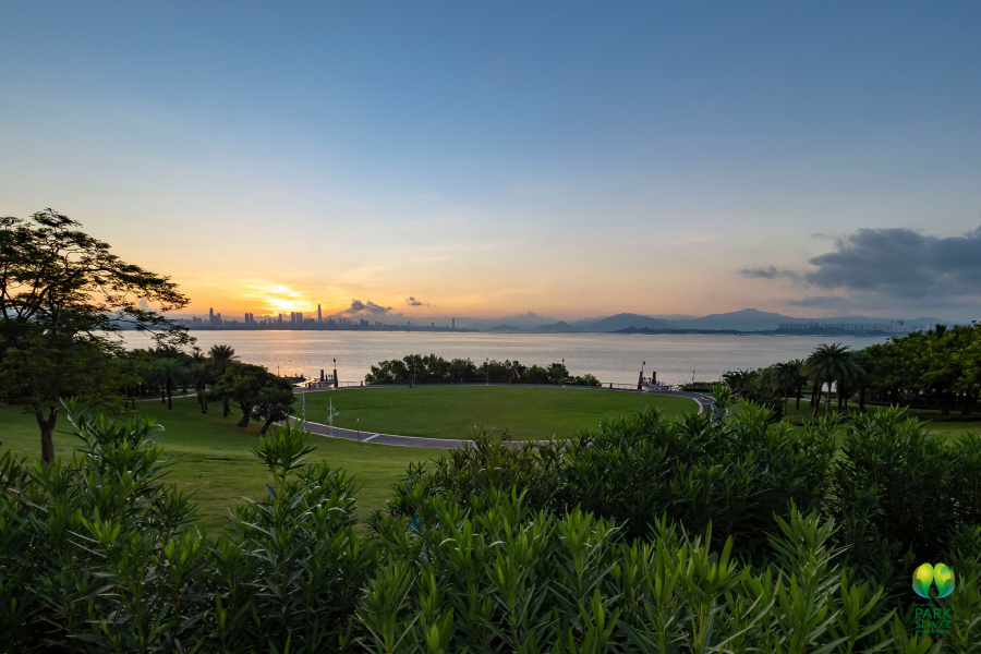 听风看海，浪漫一夏！深圳湾看日出日落的最佳机位在这里