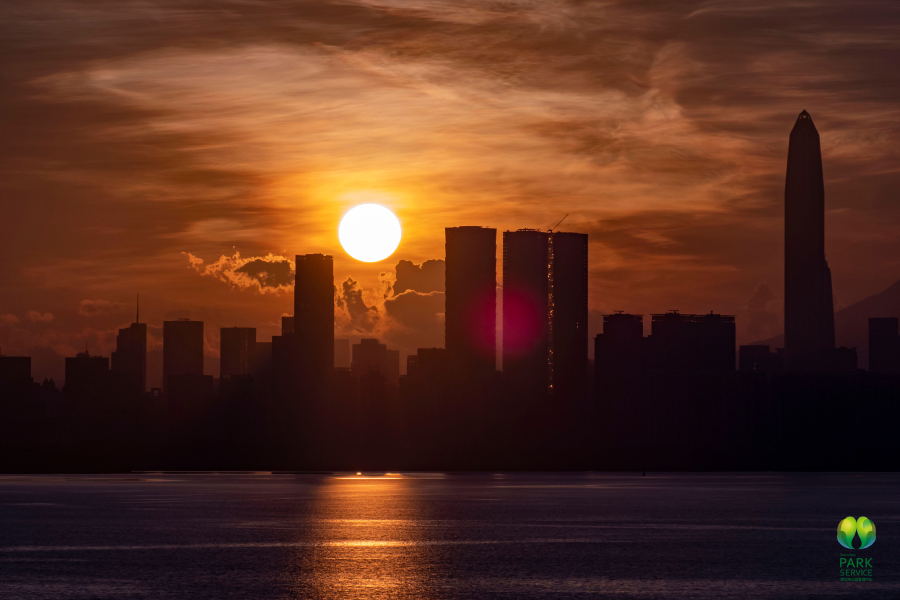 听风看海，浪漫一夏！深圳湾看日出日落的最佳机位在这里