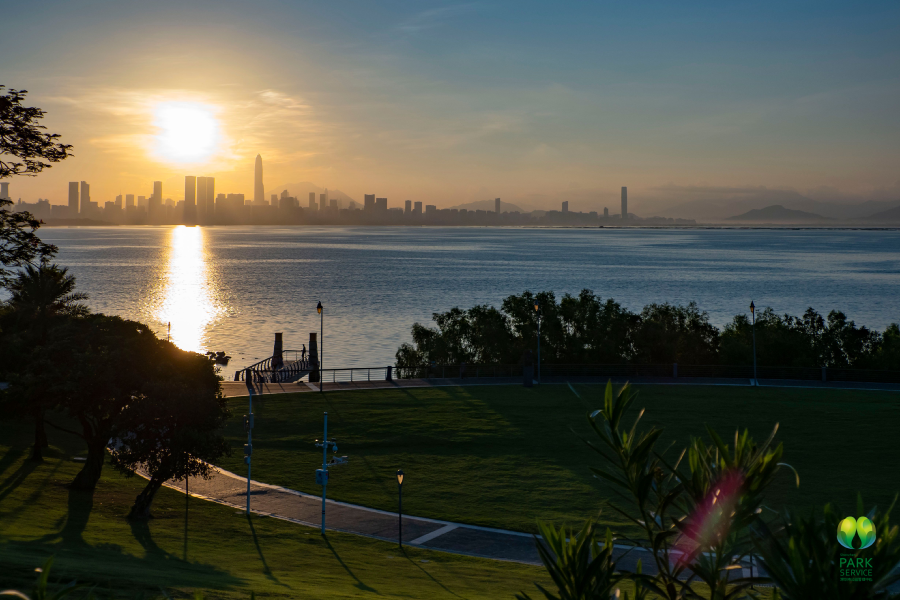 听风看海，浪漫一夏！深圳湾看日出日落的最佳机位在这里