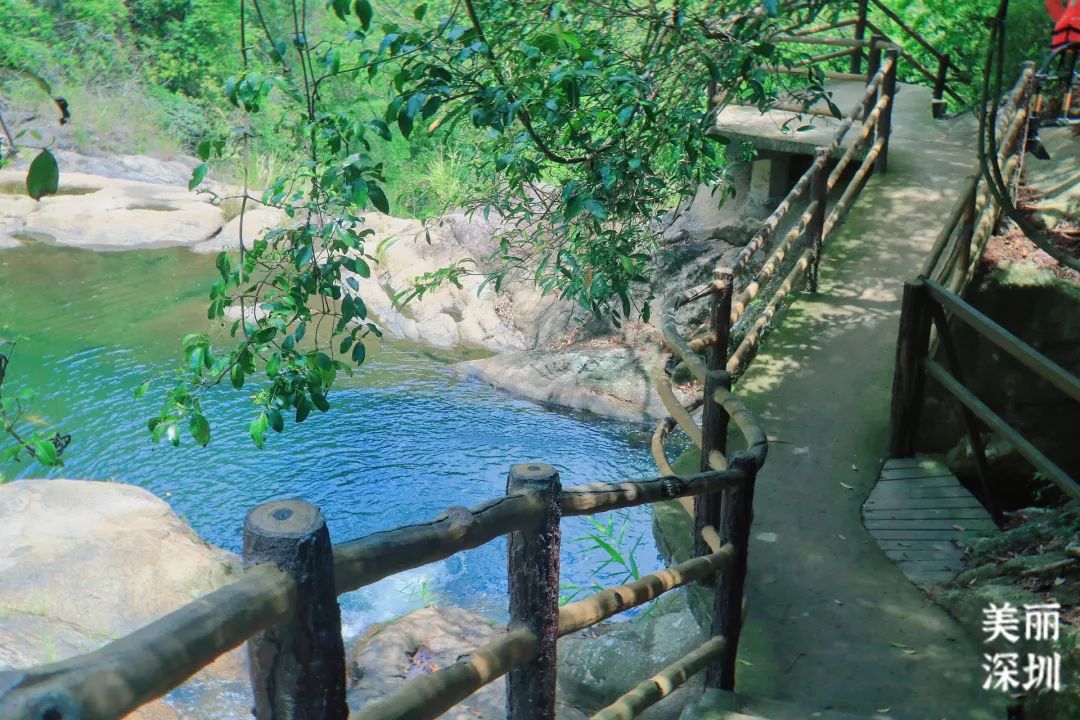 溯溪玩水赏瀑布！深圳这处世外桃源你去过吗？