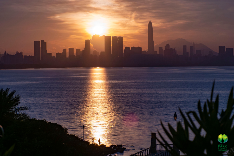 听风看海，浪漫一夏！深圳湾看日出日落的最佳机位在这里