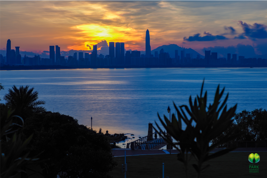 听风看海，浪漫一夏！深圳湾看日出日落的最佳机位在这里