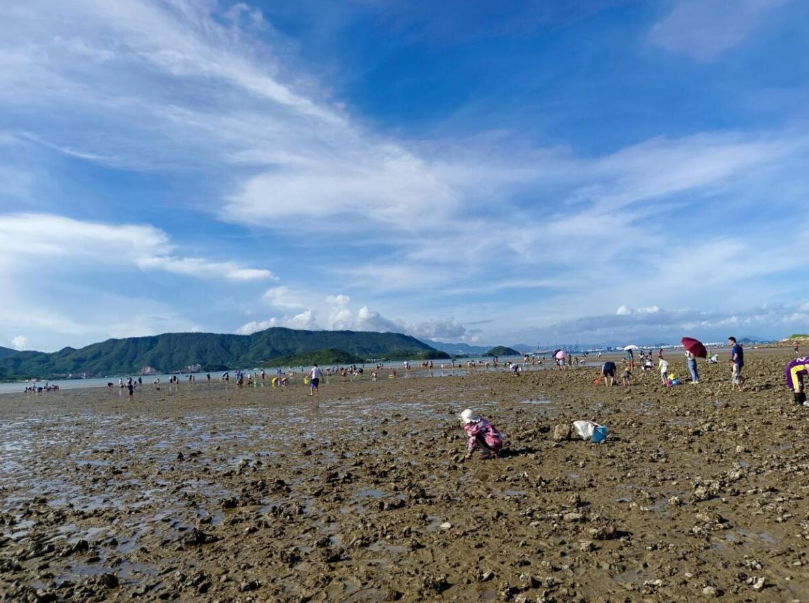 深圳也能赶海？坝光赶海，花甲，螃蟹，青口随手抓！