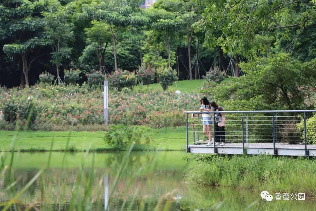 七夕活动预告 | “香”挚良缘， “蜜”存永心