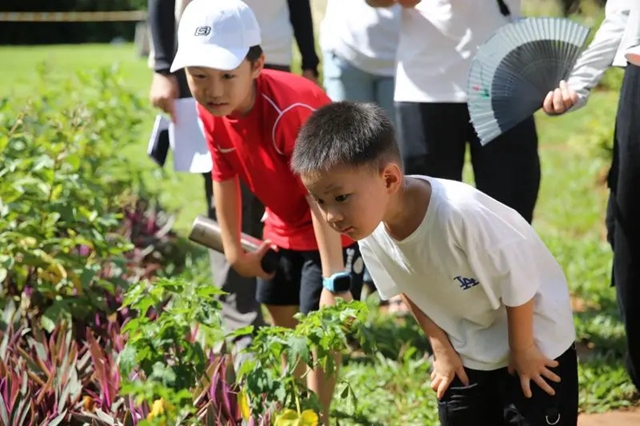 架山公园趣味植物迷你花园建成，90余种趣味植物等你来发现