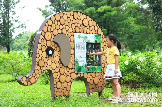 架山公园趣味植物迷你花园建成，90余种趣味植物等你来发现