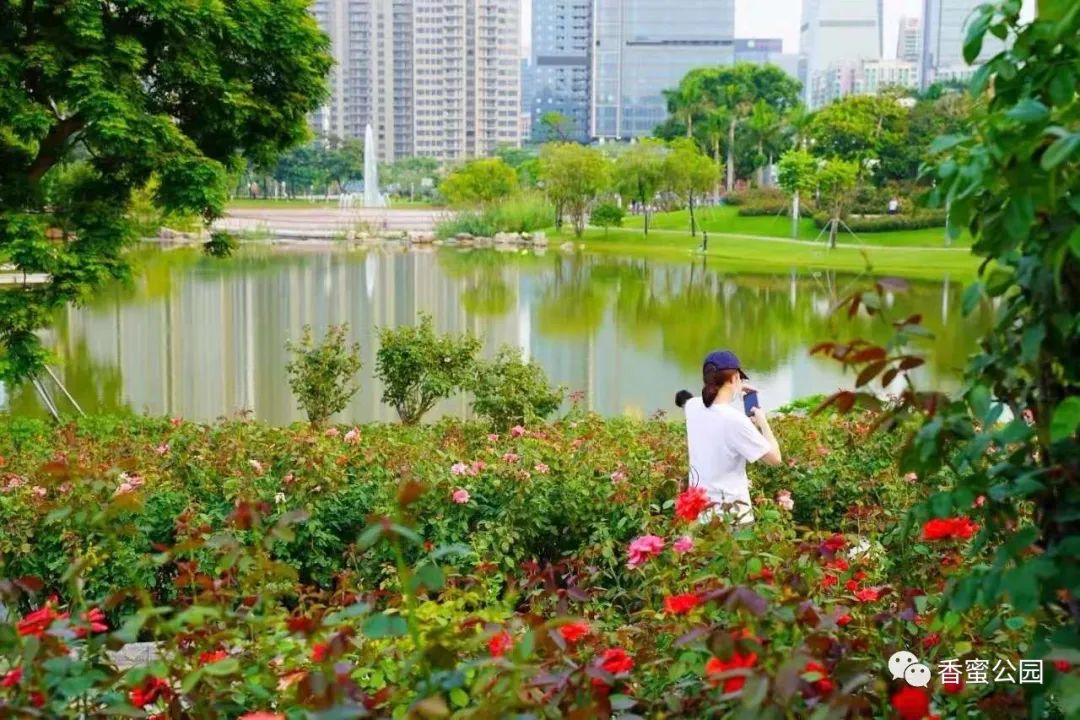 七夕活动预告 | “香”挚良缘， “蜜”存永心