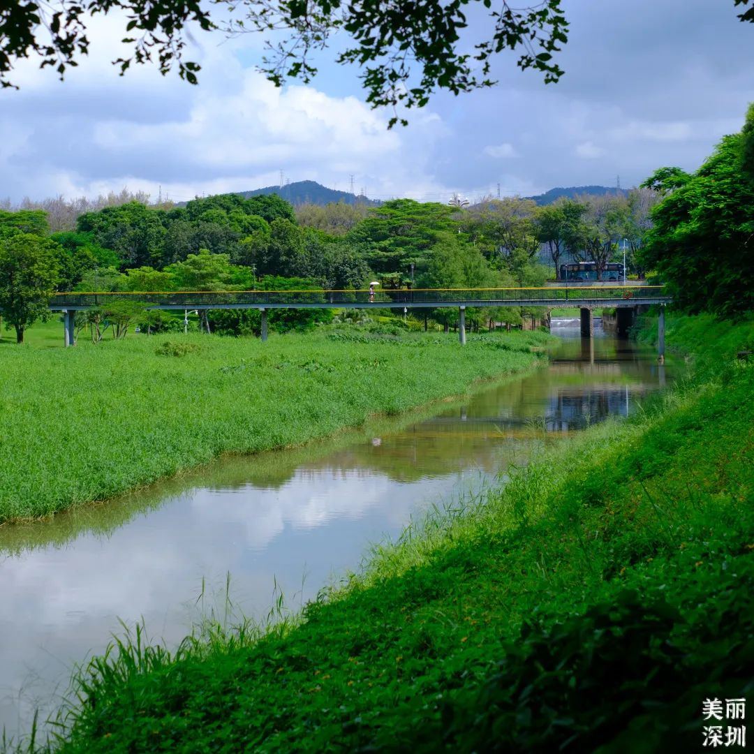 邀你打卡 | 中心公园：藏在市中心的治愈小森林