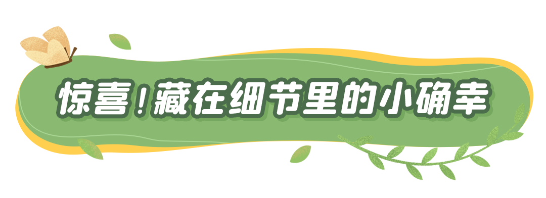 今秋深圳「最美花海」来了！第23届簕杜鹃花展明天正式开放！