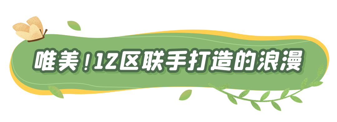 今秋深圳「最美花海」来了！第23届簕杜鹃花展明天正式开放！