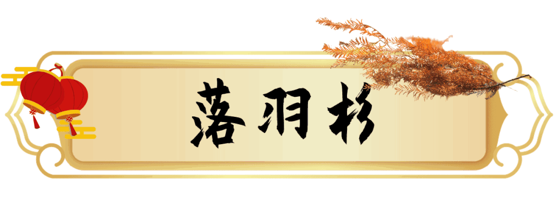 1月花历 | 历添新岁月 风吹花草香