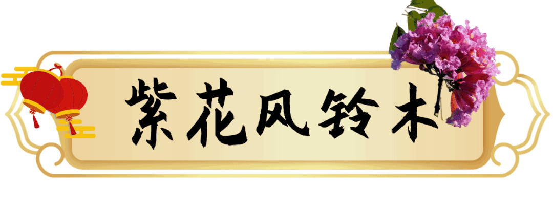 1月花历 | 历添新岁月 风吹花草香